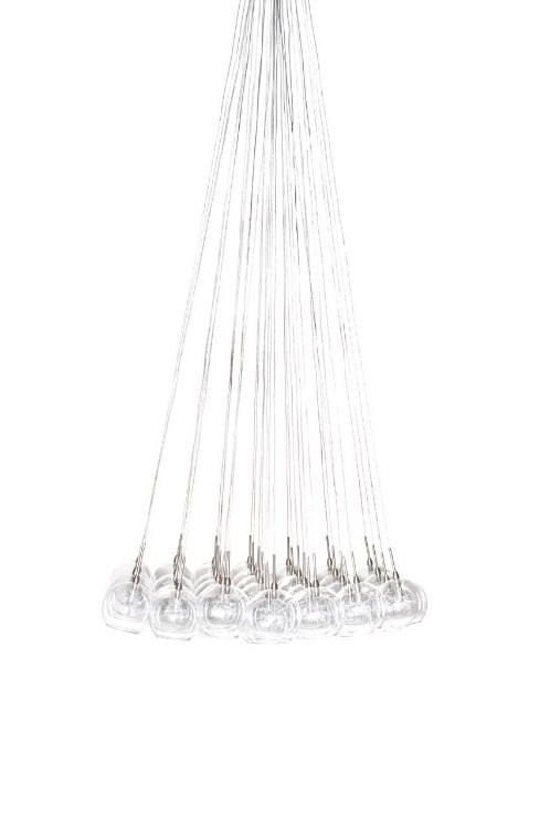 Foto para 10W Starburst 37-Light Pendant SNPC Clear Glass 12V G4 Xenon (OA HT 42"-72") (CAN 6.25"x4")