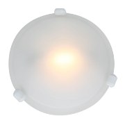 Picture of 75w Nimbus R7s J-78 Halogen Damp Location White Frosted Flush-Mount