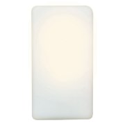 Picture of 75w Brick E-26 A-19 Incandescent Opal Wet Location Wall Fixture (CAN 9.6"x4.6"x1")