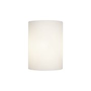 Foto para 60w Tabo E-12 B-10 Incandescent Damp Location Brushed Steel Opal Wall & Vanity (CAN 0.75")