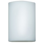 Picture of 100w Oblong E-26 A-19 Incandescent White Opal Wet Location Wall Fixture (OA HT 10)