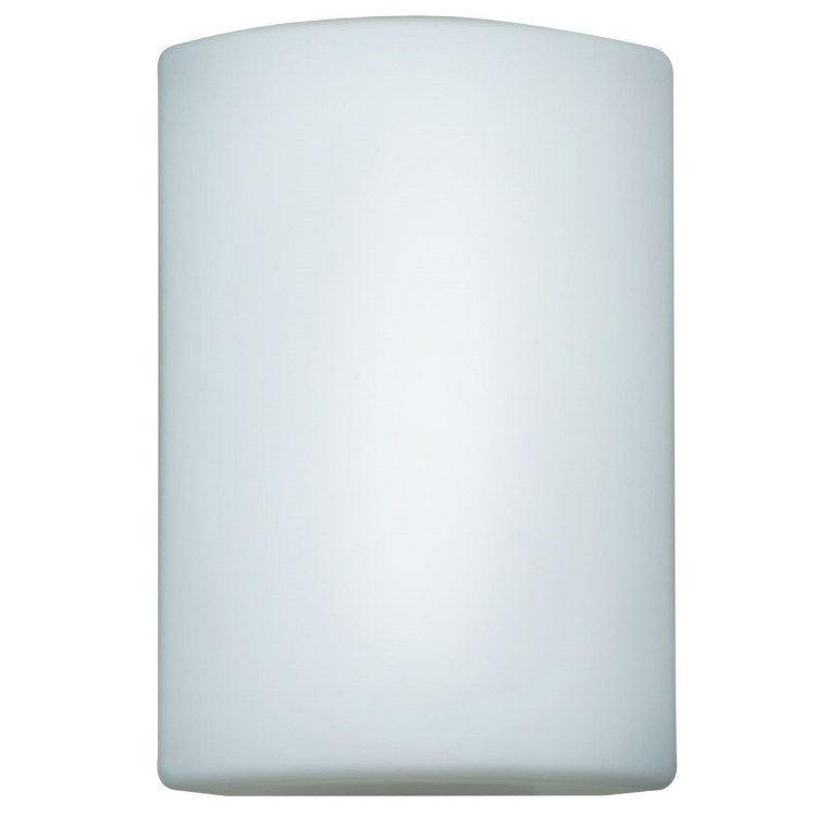 Foto para 100w Oblong E-26 A-19 Incandescent White Opal Wet Location Wall Fixture (OA HT 10)