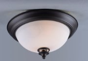 Foto para Novus 1-Light Flush Mount OI Satin White Opal Glass MB Incandescent Incandescent