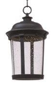 Picture of Dover LED Outdoor Hanging Lantern BZ Seedy PCB LED