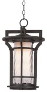 Foto para Oakville LED 1-Light Outdoor Hanging Lantern BO Water Glass GU24 LED