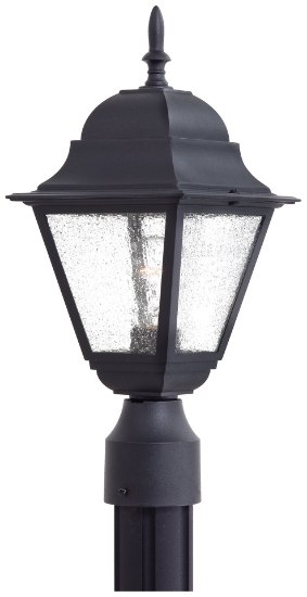 Picture of 100w SW 1 Light Post Mount Black Clear