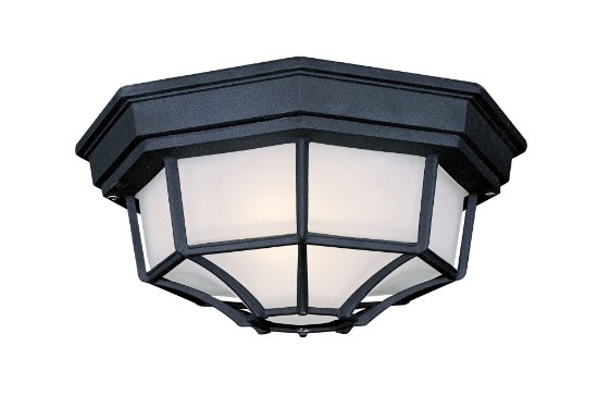 Picture of 13w SW 1 Light Flush Mount Black Etched White