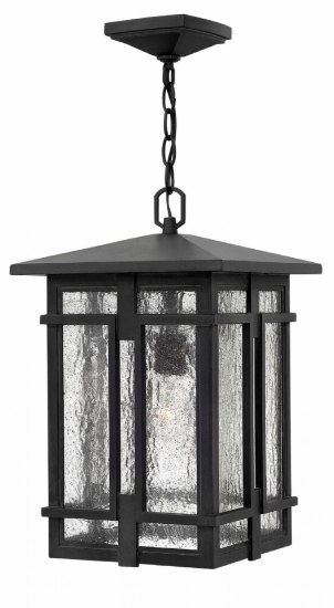 Picture of 100w Outdoor Tucker MED Clear Seedy Museum Black Hanging