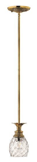 Foto para 100w Mini-Pendant Plantation MED Clear Optic Burnished Brass