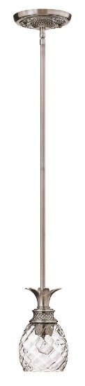 Foto para 100w Mini-Pendant Plantation MED Clear Optic Polished Antique Nickel