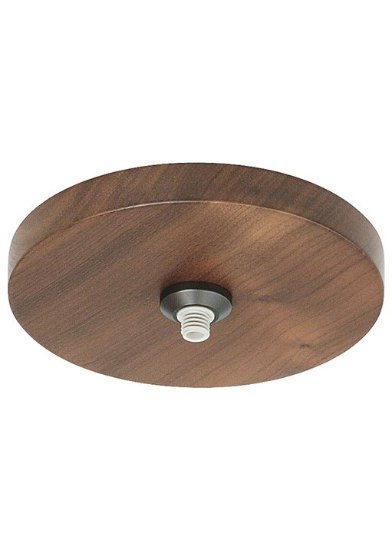 Foto para 75w Fusion Bronze Fusion Jack Canopy 4" Round Flush Wood WA bz 120/2