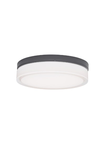 Picture of 12w Cirque Charcoal Cirque Small Outdoor Wall/Ceiling  Small 80 CRI 30