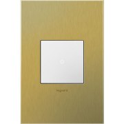 Foto para adorne Cast Metals Brushed Brass 1-Gang 2-Module Wall Plate