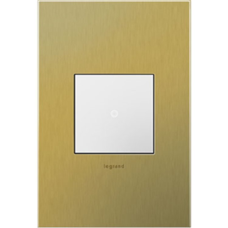 Foto para adorne Cast Metals Brushed Brass 1-Gang 2-Module Wall Plate