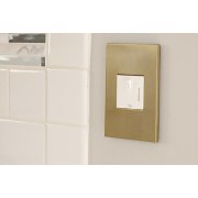 Foto para adorne Cast Metals Brushed Brass 1-Gang 2-Module Wall Plate