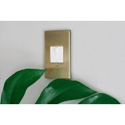 Foto para adorne Cast Metals Brushed Brass 1-Gang 2-Module Wall Plate