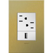 Foto para adorne Cast Metals Brushed Brass 1-Gang+ 3 Module Wall Plate