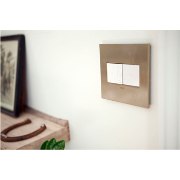 Foto para adorne Cast Metals Brushed Brass 2-Gang Wall Plate