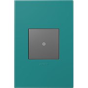 Foto para adorne Plastics Turquoise Blue 1-Gang 2 Module Wall Plate