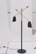 Picture of 80w (2 x 40w) Tanner Matte Black & Brass E12 G50 2-Light Floor Lamp