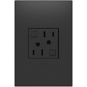 Foto para 15a adorne Graphite 2-Module Size Tamper Resistant GFCI Duplex Outlet