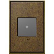 Foto para adorne Cast Metals Aged Brass 1-Gang 2-Module Wall Plate